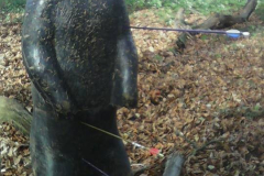 The bear got it... in the unmentionables.