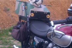 With love . respect and happy memories, ..RIP Barney, our beloved mascot.